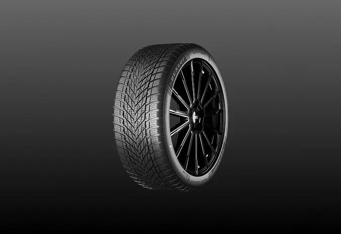 Dunlop Winter